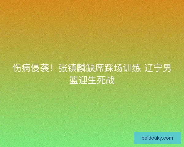 伤病侵袭！张镇麟缺席踩场训练 辽宁男篮迎生死战