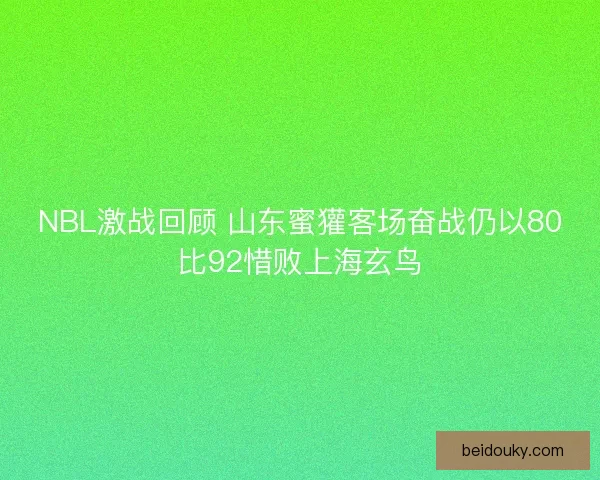 NBL激战回顾 山东蜜獾客场奋战仍以80比92惜败上海玄鸟